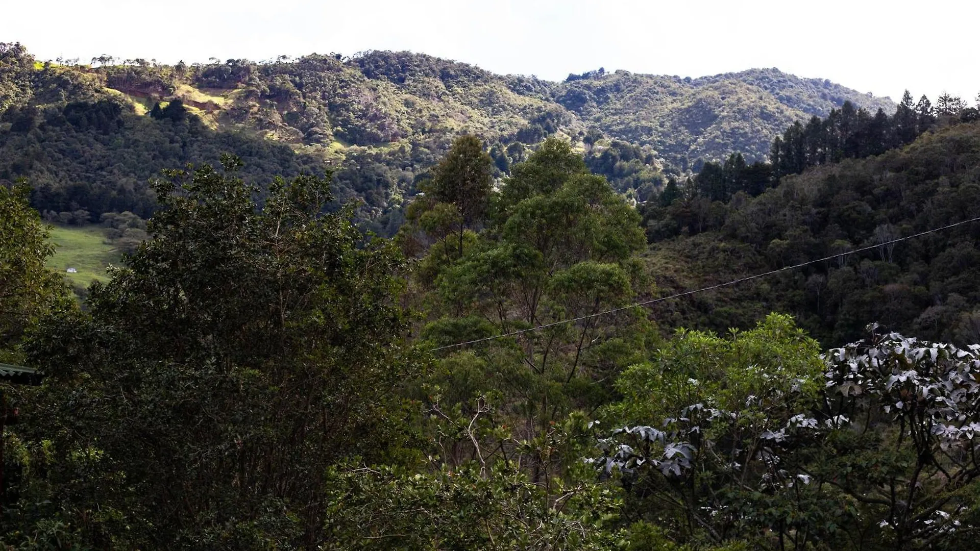 Luna Verde Eco Habitat Rionegro 0*,  Colombia